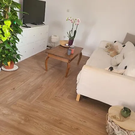 Homestay szállás Welcome